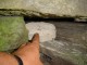 Thumbs/tn_DSC02704.jpg