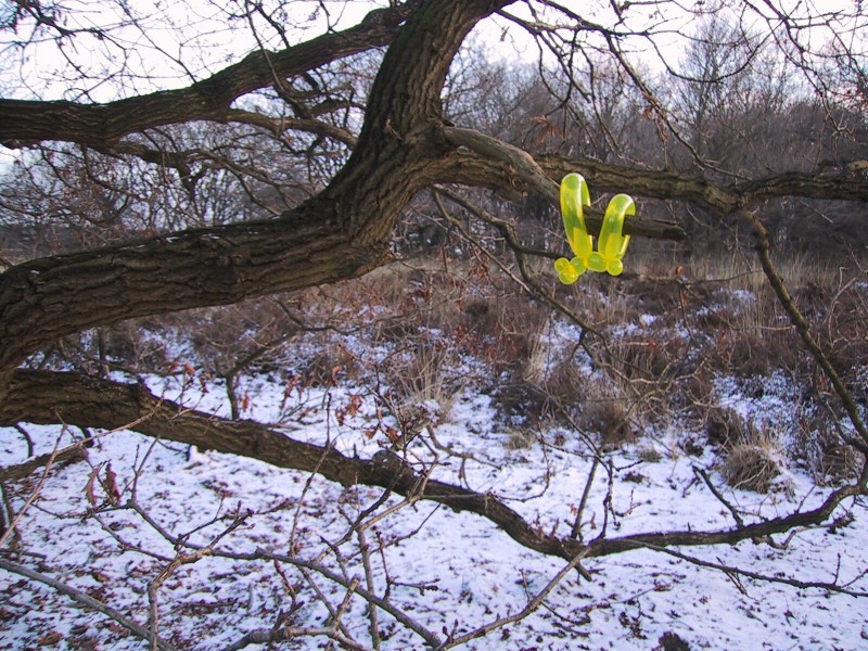 ../Images/19.jpg