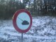 Thumbs/tn_01.jpg