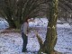 Thumbs/tn_02.jpg
