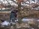 Thumbs/tn_08.jpg