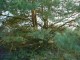 Thumbs/tn_DSC04942.jpg