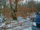 Thumbs/tn_DSC04945.jpg