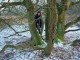 Thumbs/tn_DSC04952.jpg