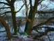 Thumbs/tn_DSC04957.jpg