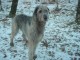 Thumbs/tn_DSC04958.jpg