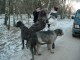 Thumbs/tn_DSC04964.jpg