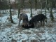 Thumbs/tn_DSC04965.jpg