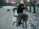 Thumbs/tn_DSC04967.jpg