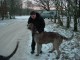 Thumbs/tn_DSC04968.jpg