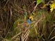 Thumbs/tn_DSC04460.jpg