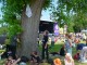 Thumbs/tn_DSC07665.jpg