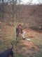 Thumbs/tn_PIC00005.jpg