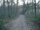 Thumbs/tn_DSC05179.jpg