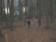 Thumbs/tn_DSC05189.jpg