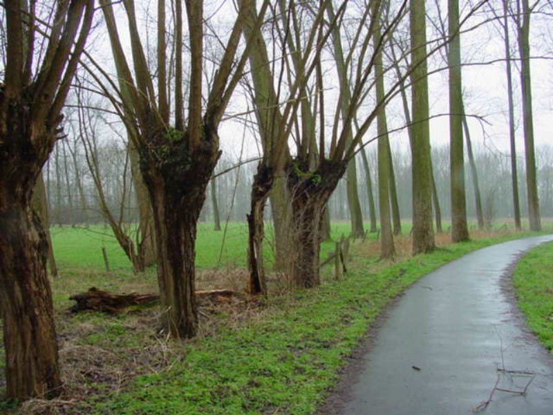 ../Images/bergplaats.jpg