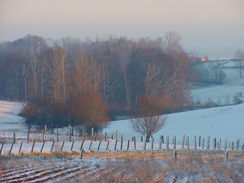 ../Images/sneeuw.jpg