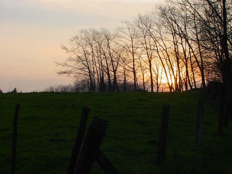 ../Images/zonsondergang.jpg