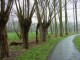 Thumbs/tn_bergplaats.jpg