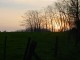 Thumbs/tn_zonsondergang.jpg