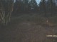 Thumbs/tn_DSC04833.jpg