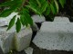 Thumbs/tn_DSC03592.jpg