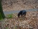 Thumbs/tn_DSC00184.jpg