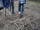 Thumbs/tn_DSC01865.jpg
