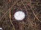 Thumbs/tn_DSC01876.jpg
