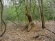 Thumbs/tn_DSC06458.jpg