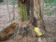 Thumbs/tn_DSC06459.jpg