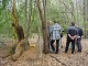 Thumbs/tn_DSC06464.jpg