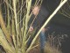 Thumbs/tn_DSC04797.jpg
