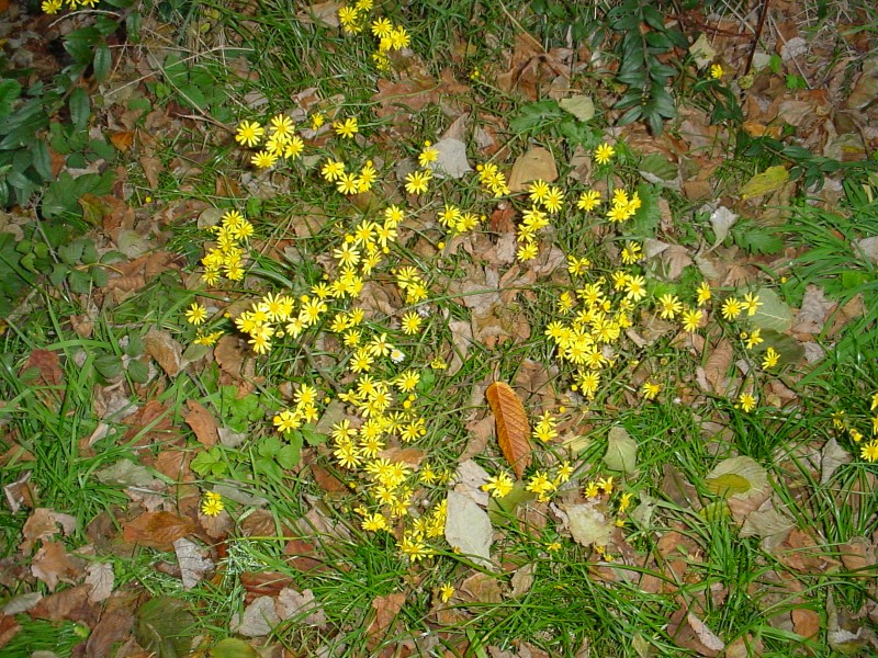 ../Images/DSC08272.jpg