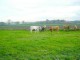 Thumbs/tn_DSC08259.jpg