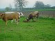 Thumbs/tn_DSC08263.jpg