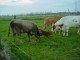 Thumbs/tn_DSC08268.jpg