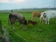 Thumbs/tn_DSC08269.jpg