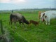 Thumbs/tn_DSC08270.jpg