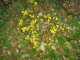 Thumbs/tn_DSC08272.jpg