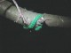 Thumbs/tn_DSC08283.jpg