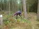 Thumbs/tn_DSC08307.jpg