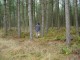 Thumbs/tn_DSC08308.jpg