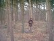 Thumbs/tn_PIC00005.jpg