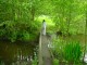 Thumbs/tn_DSC01025.jpg