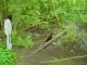Thumbs/tn_DSC01029.jpg
