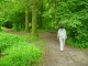 Thumbs/tn_DSC01040.jpg
