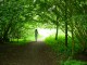 Thumbs/tn_DSC01042.jpg