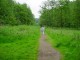 Thumbs/tn_DSC01043.jpg