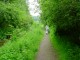 Thumbs/tn_DSC01044.jpg